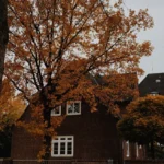 Herfst inbraakpreventie in donkere dagen- zo houdt u inbrekers buiten