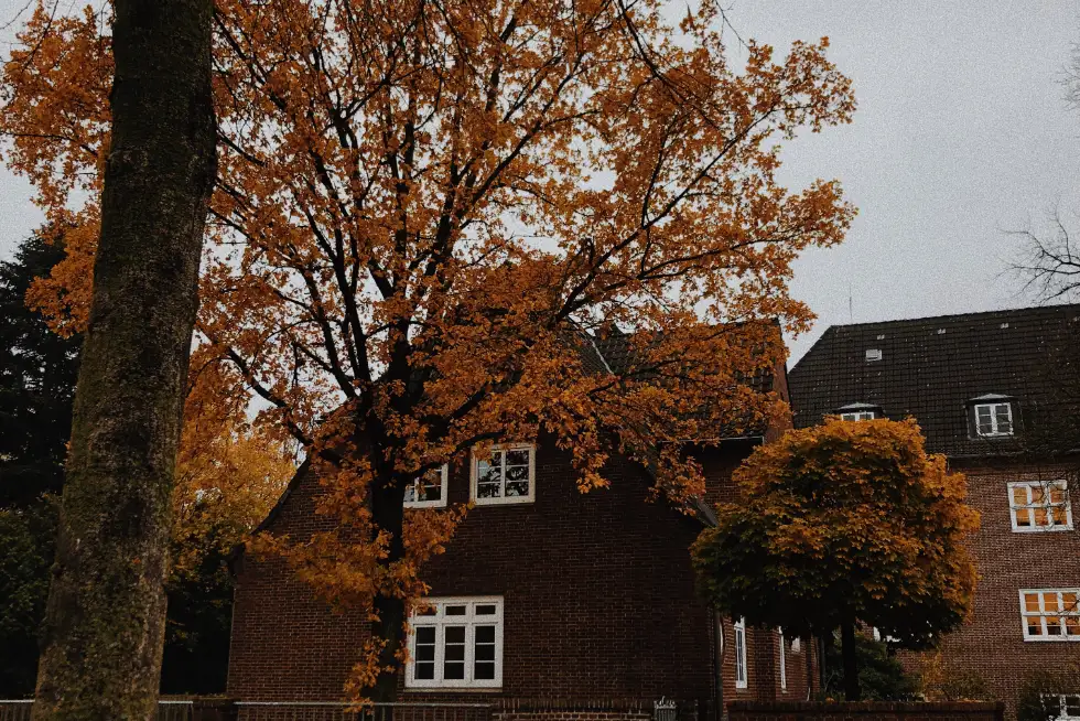 Herfst inbraakpreventie in donkere dagen- zo houdt u inbrekers buiten